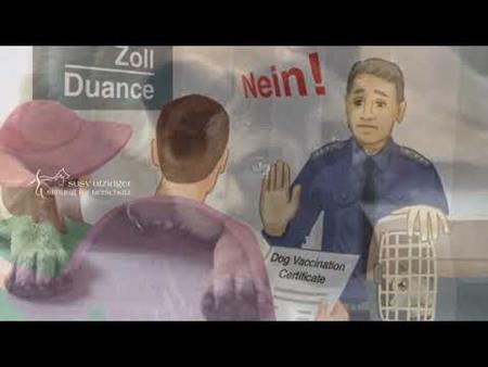 Kampagne: "Spiele nicht mit meinem Leben" (mit Audio)