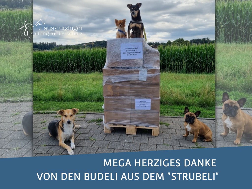 Tierheim Strubeli sagt Danke!