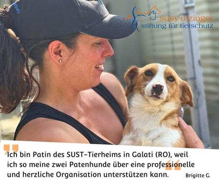 Aria ist eines von Brigittes Patentieren im SUST-Tierheim Galati