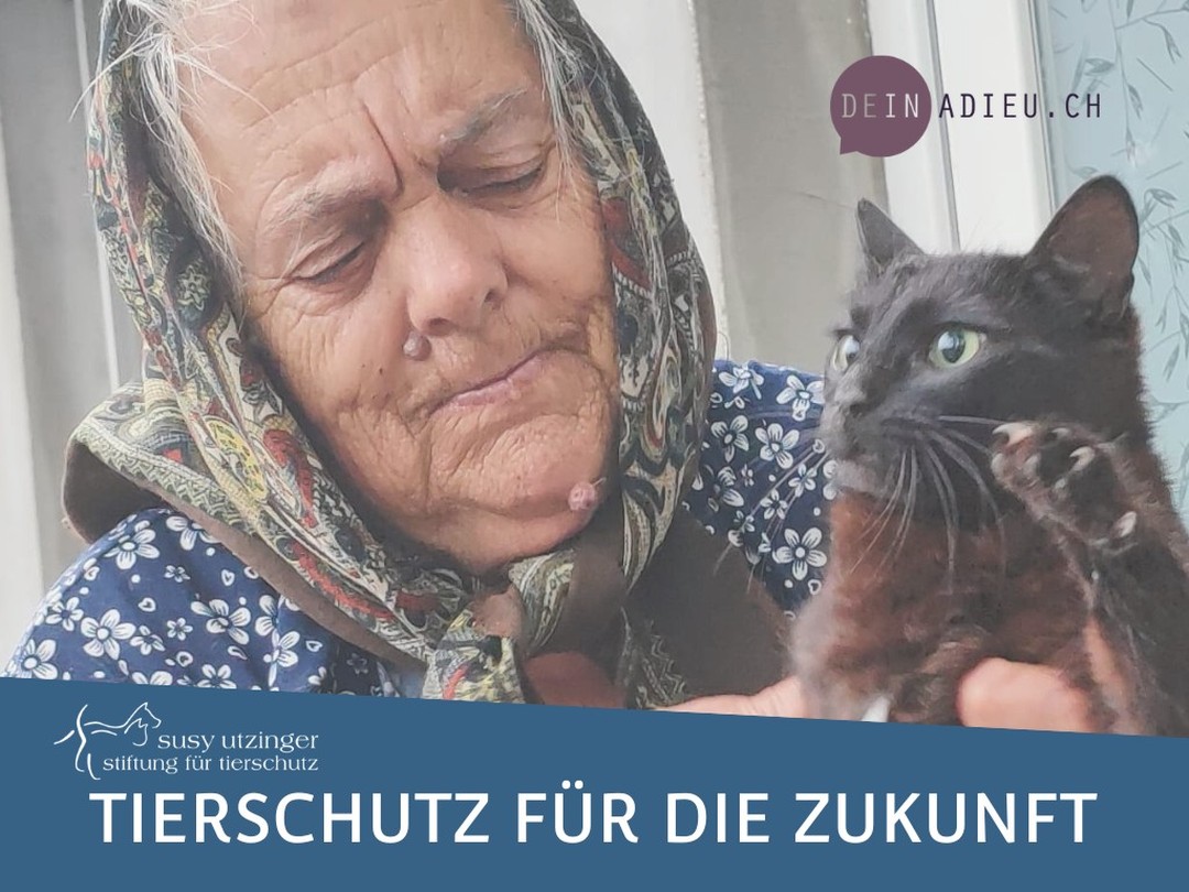 Tierschutz für die Zukunft