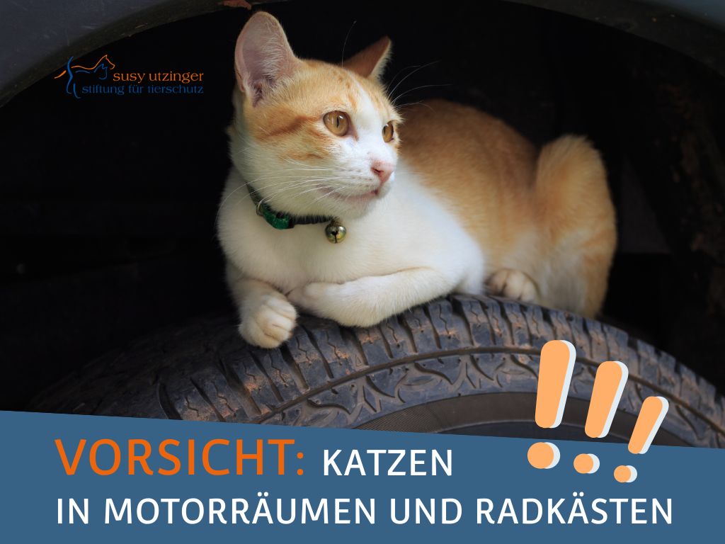 Autofahrer/innen aufgepasst!