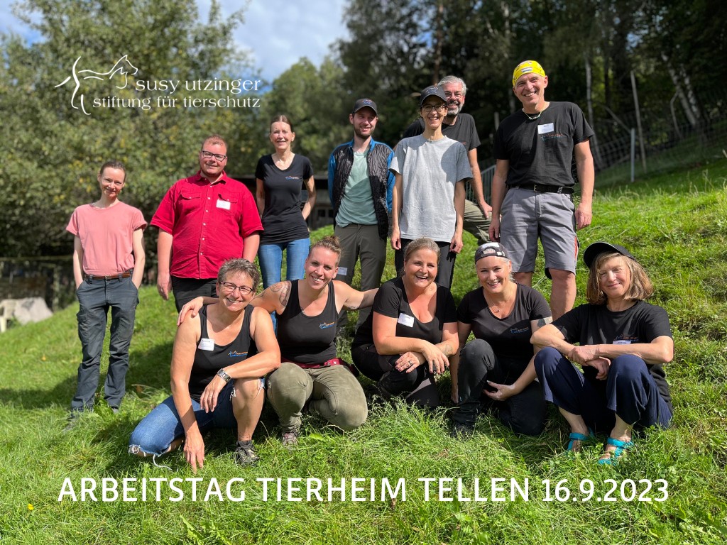 SUST-Tierheimarbeitstag im Tierheim Tellen