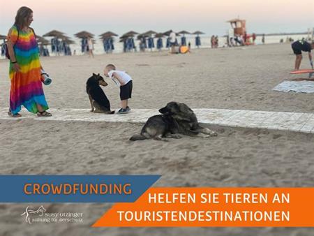 Crowdfunding für die SUST-Seaside Kastrationsaktionen