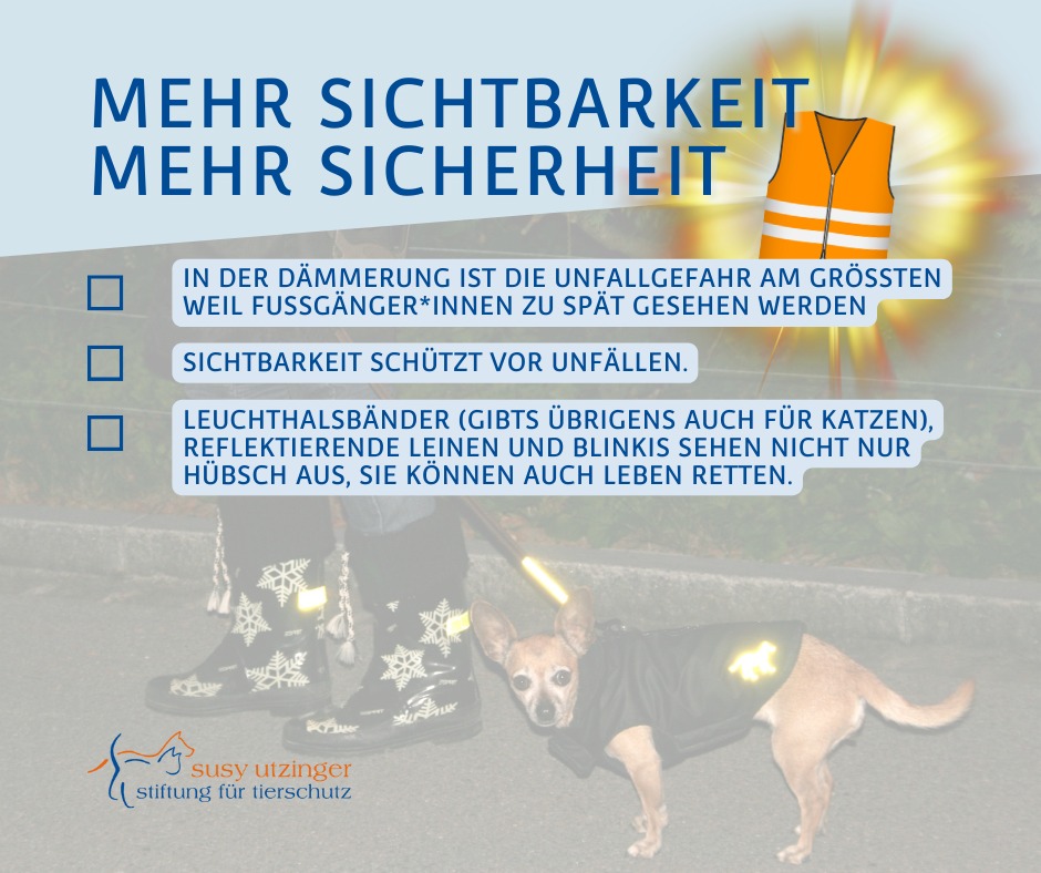 Heisser Herbsttipp für HundehalterInnen!