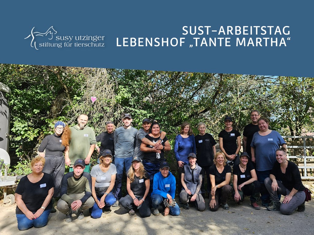 JOURNÉE DE TRAVAIL DE LA SUST À LA FERME "TANTE MARTHA".