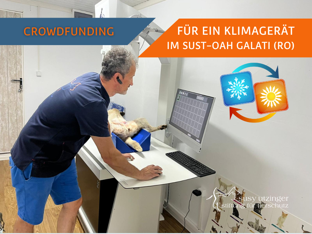 Crowdfunding "Klimagerät OAH-Galati"