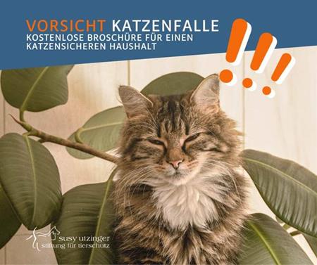 VORSICHT Katzenfalle!