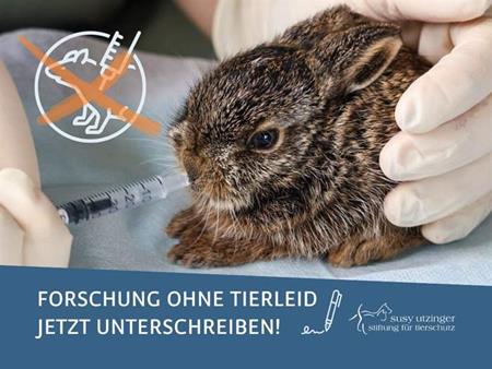 Forschung ohne Tierleid…