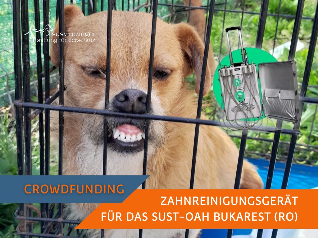 Crowdfunding