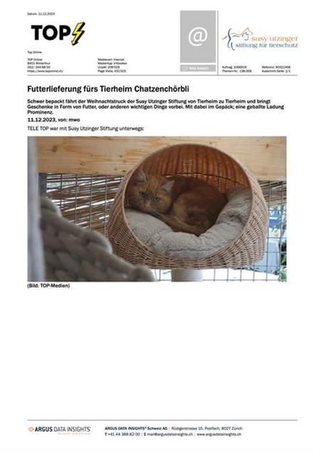 toponline.ch - Dezember 2023