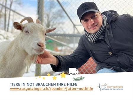 Tiere in Not, brauchen Ihre Hilfe!