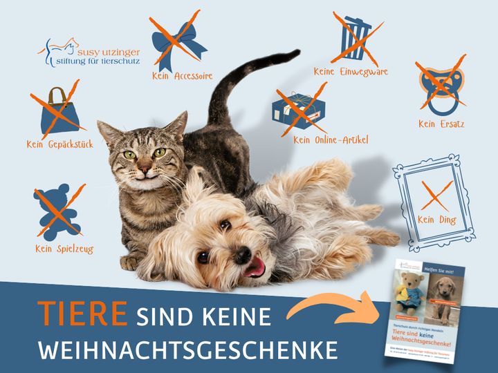 SUST-Weihnachtskampagne: Tiere sind keine Weihnachtsgeschenke