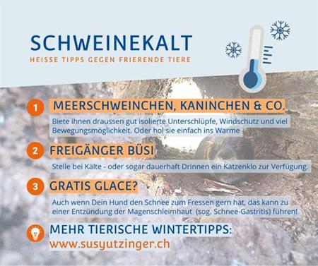 Tierische Wintertipps!