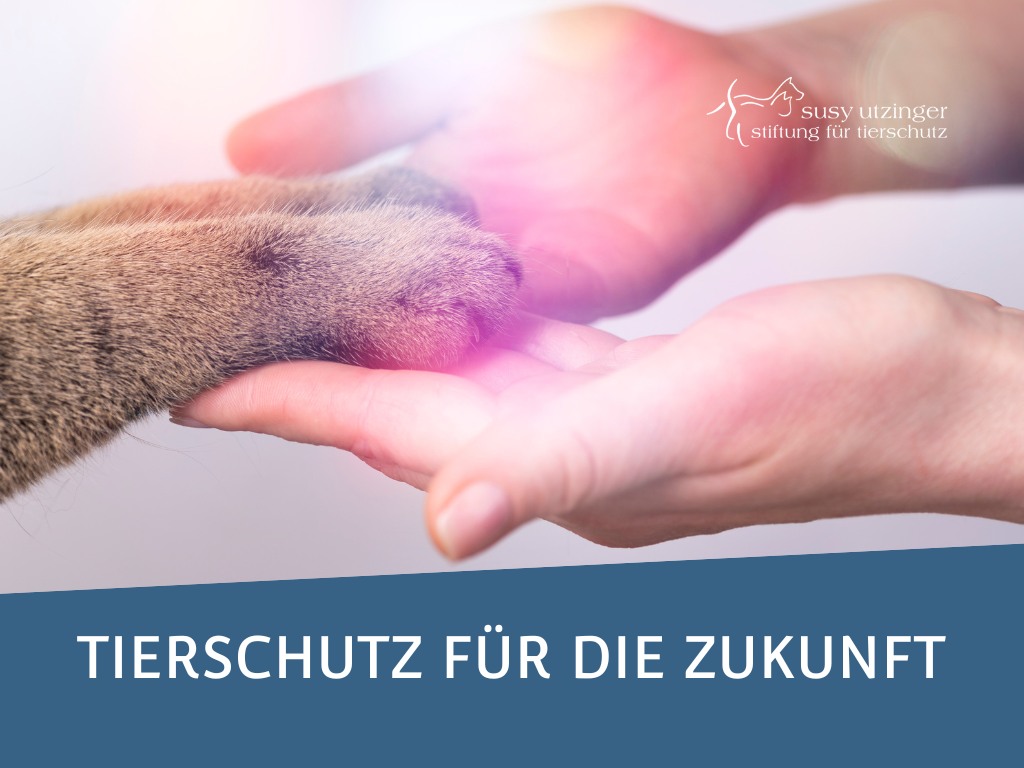 Tierschutz für die Zukunft!