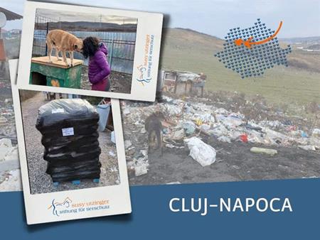 Futterlieferung für unsere Partnerorganisation in Cluj-Napoca, Rumänien