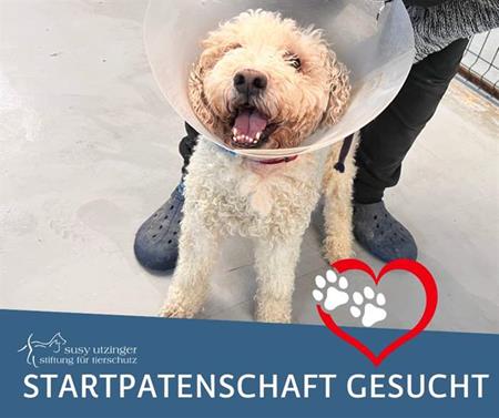 Startpatin gefunden - vielen herzlichen Dank, Sandra W.!