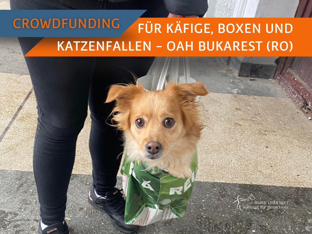 Crowdfunding für das SUST-OAH Bukarest