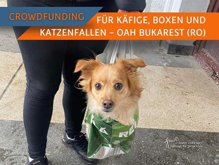 Crowdfunding für das SUST-OAH Bukarest