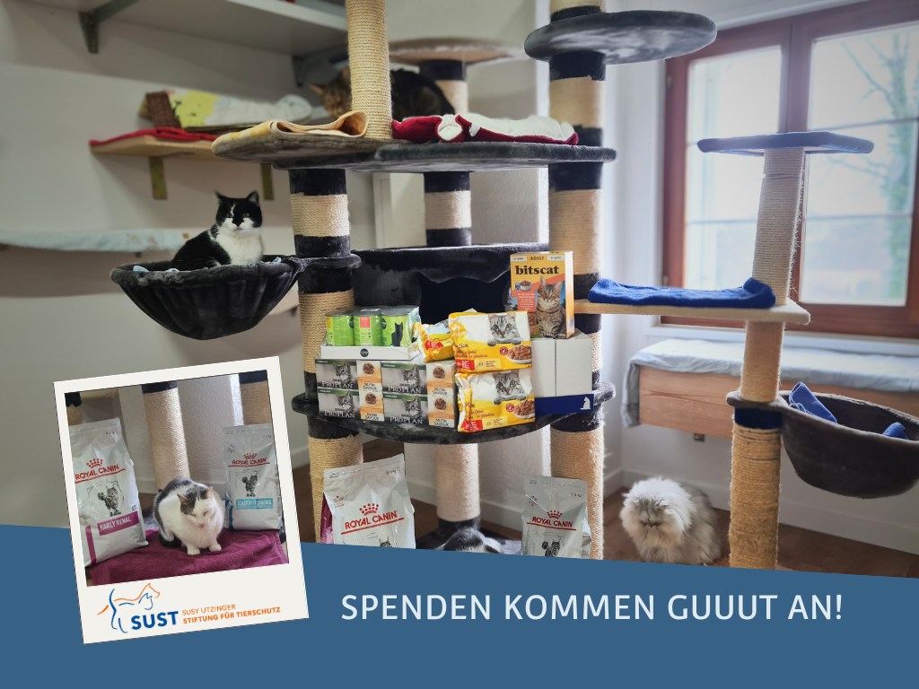 Food donation for the Schnurrli cat sanctuary in Sternenberg