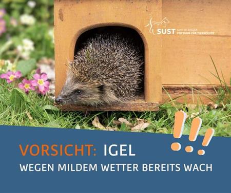 Achtung: Igel