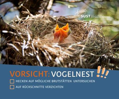 Achtung: Vogelnester