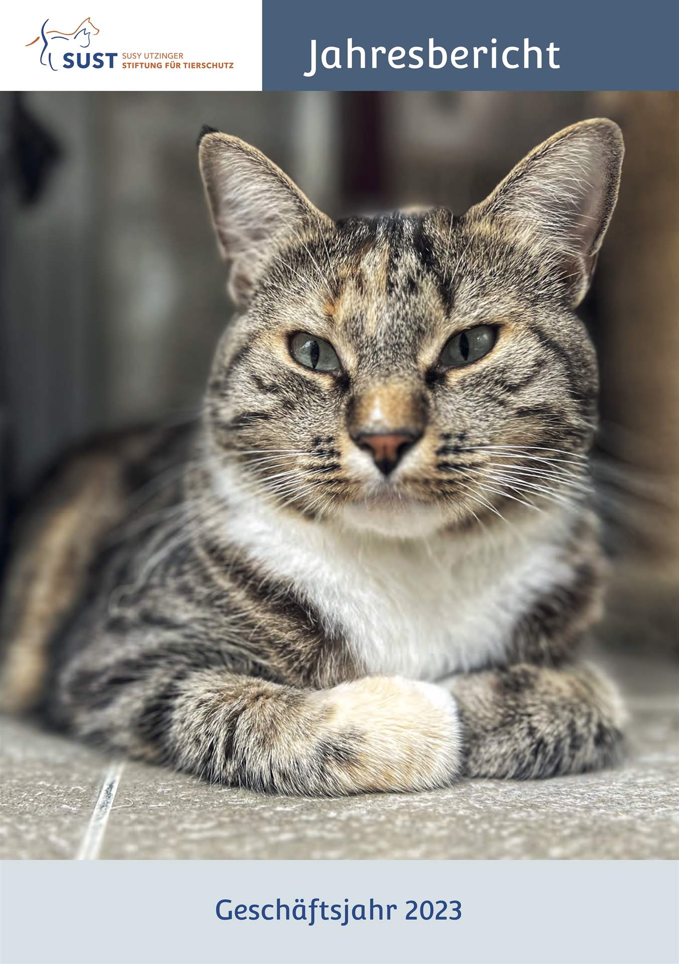 Nachhaltiger Tierschutz – Das Tierschutzjahr 2023 der Susy Utzinger Stiftung für Tierschutz in Zahlen