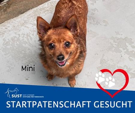 Mini hat eine Startpatin gefunden!