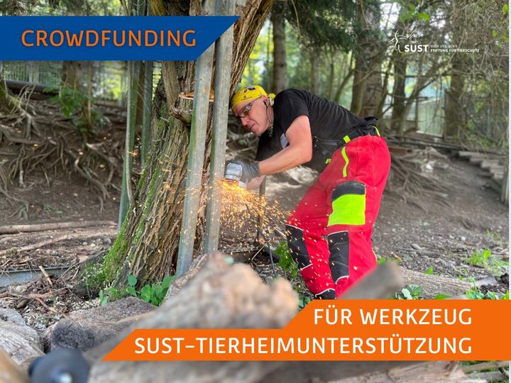 Crowdfunding for new tools for the SUST Shelter Workdays