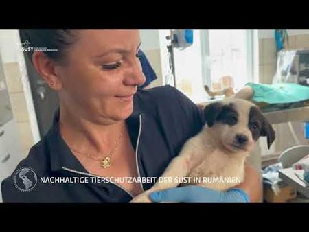 SUST-Traineeprogramm - Schweizer Tierärzte-Weiterbildung