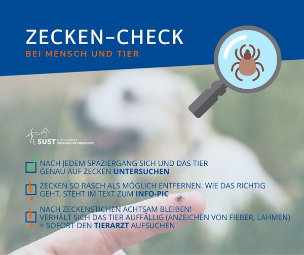 ZECKEN-CHECK!