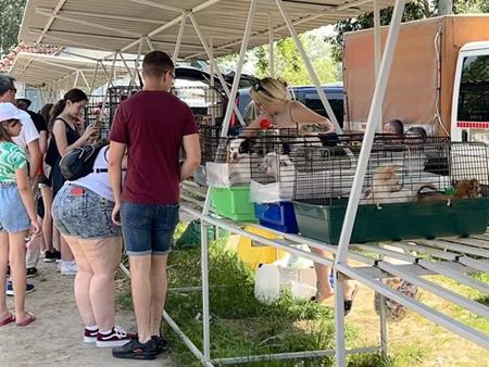 Leben Sie Ihre Tierliebe auch am Ferienort (mit Audio)