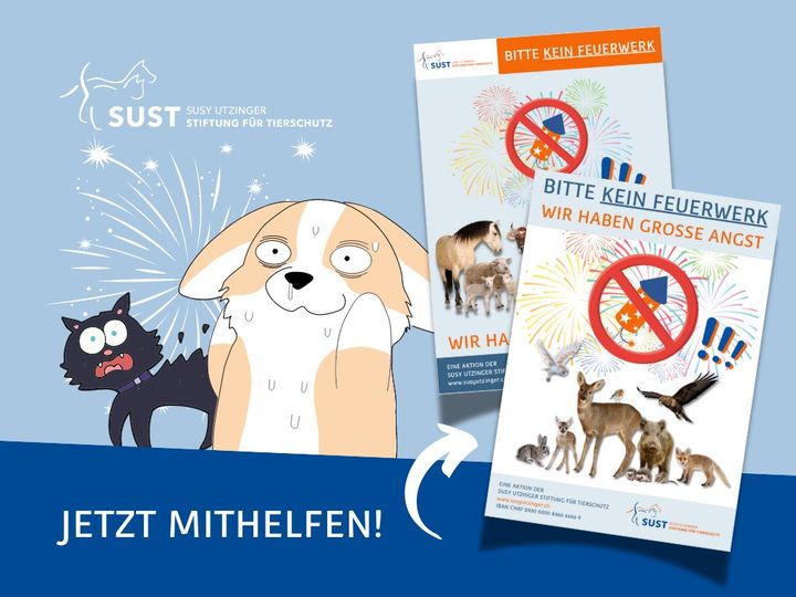 HELFEN SIE MIT TIERE ZU SCHÜTZEN!