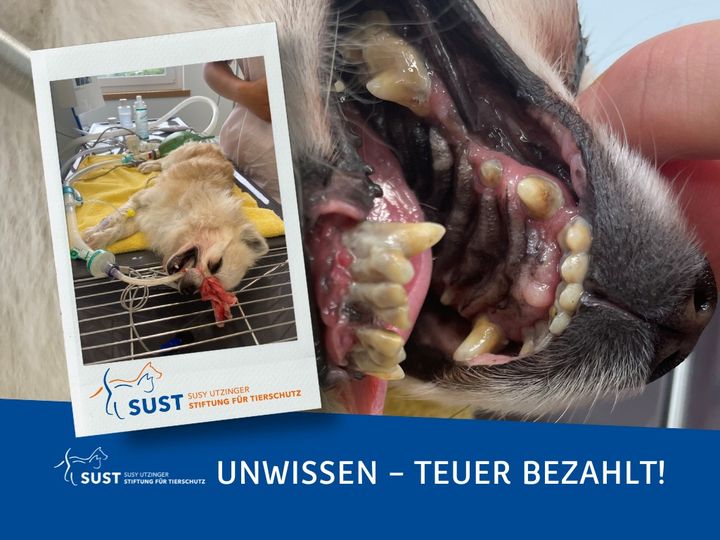 Teures Unwissen!