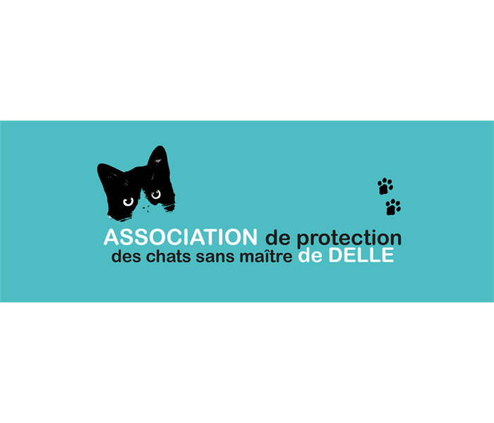 Chat Dow et ses amis