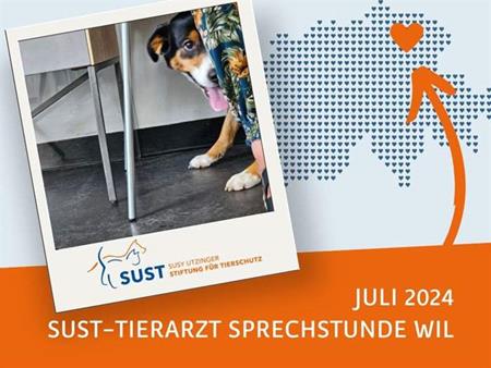 7 Katzen und Hunde konnten an der letzten Sprechstunde in Wil im Rahmen der SUST- Sozialarbeit für Tiere