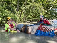 Rettungseinsatz des GTRD im Juni 2024 bei Eglisau