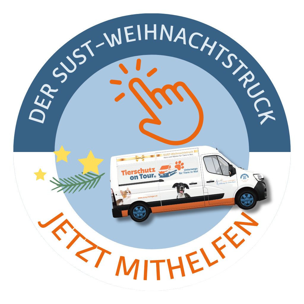 Wehinachtstruck