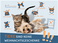 2022-Tiere-sind-keine-Weihnachtsgeschenke-01x200x200