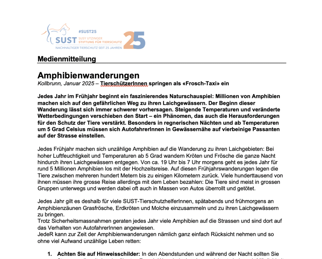 Vorschaubild zur Medienmitteilung