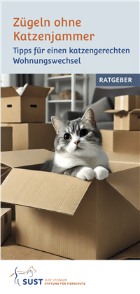 2024—12—SUST_Folder_Zügeln_2024x200x200