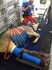 Bild-4—Im-Transporterreszx200x200