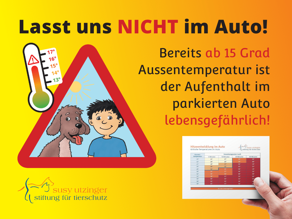 2023—04.04—SUST-Post-Hitze-Kind-Hund-todesfalle-Auto-DE