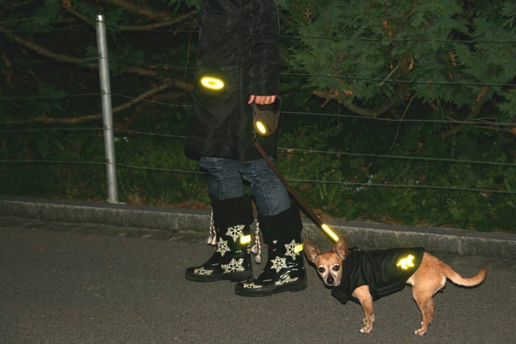 ReflektorenmachenMenschundTiersichtbar