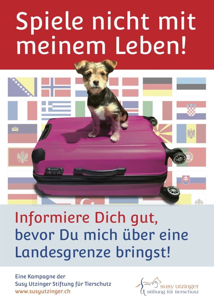 SUST_Poster_illegale-Tierimporteresz