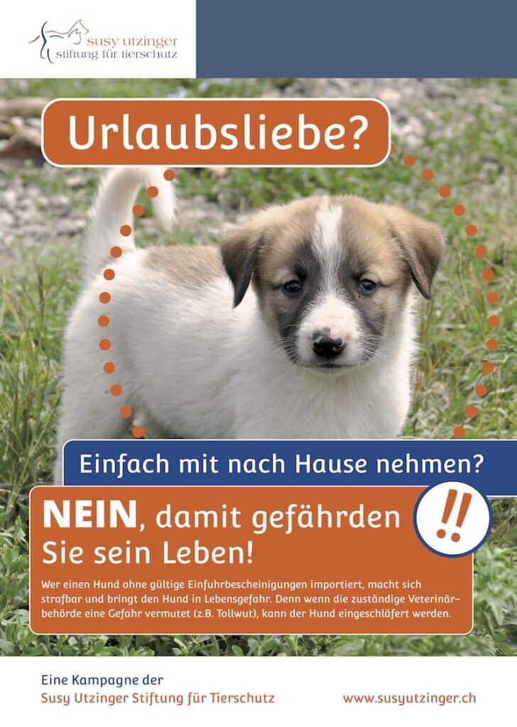 SUST_Poster_illegalerTiertransport_Urlaubsliebe_A4