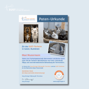 Neuer Webshop Kopie 2