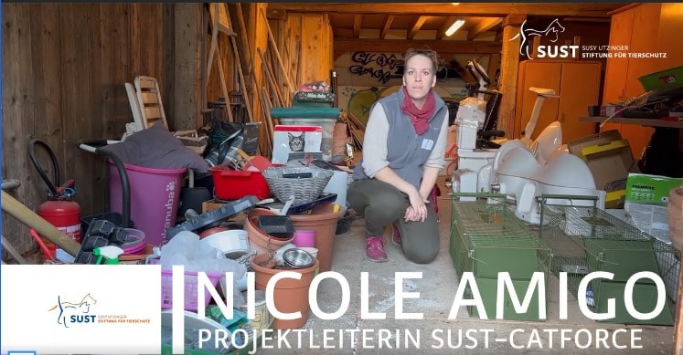 19201920p1013EDNmainimg-2024_11_Catforce