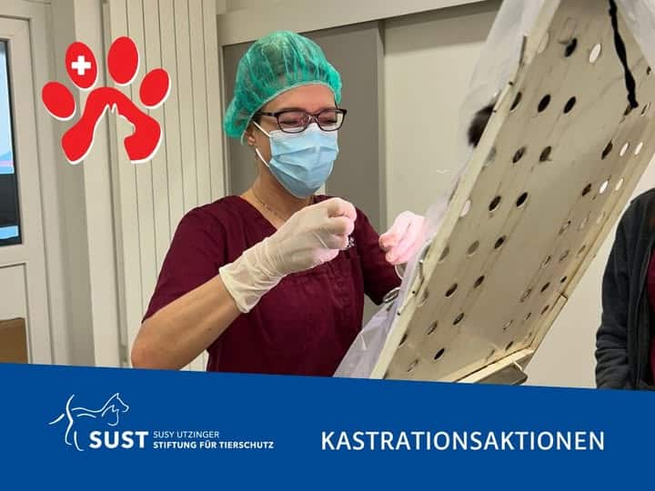 19201920p1013EDNmainimg-2024_12_Kastrationsaktionen