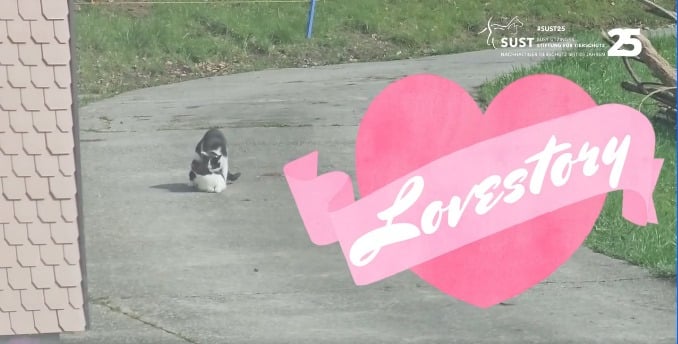 19201920p1013EDNmainimg-2025_05_Catfdorce_Region_Luzern