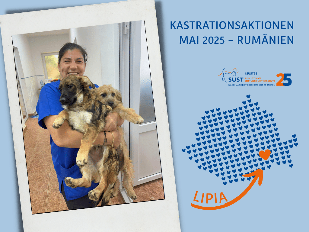 19201920p1014EDNmainimg-11